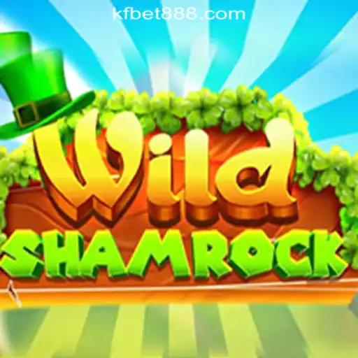 Experience the Magic of 